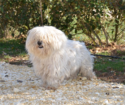 Bouba Of delicious love