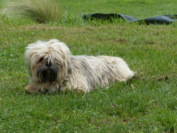 Emir de dame nature