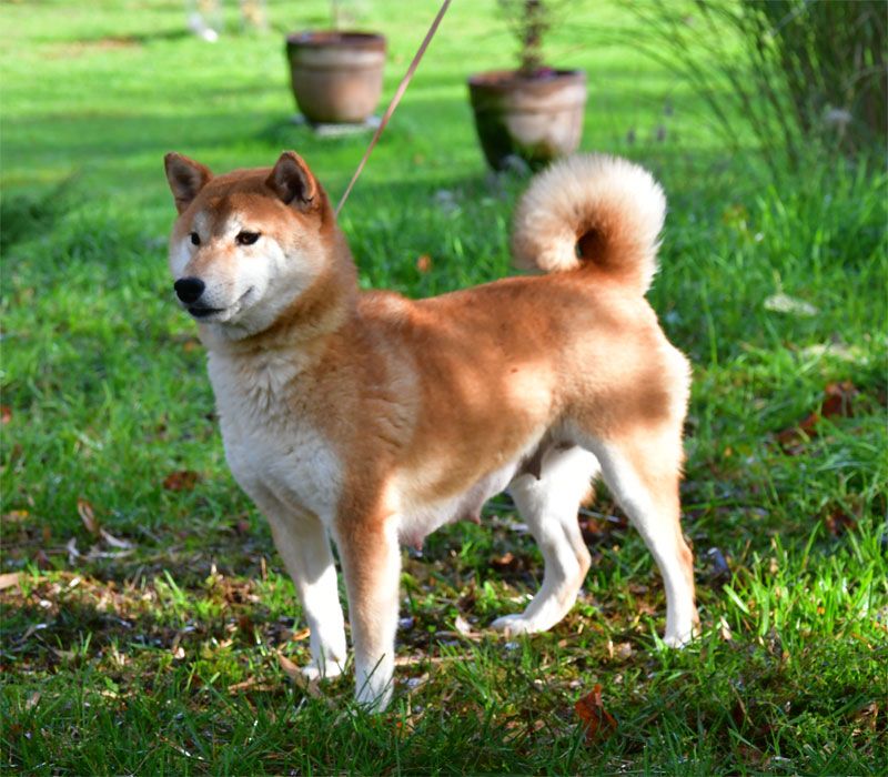 Nayumi de dame nature