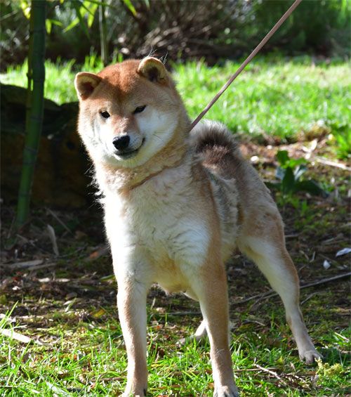 Pepite de dame nature