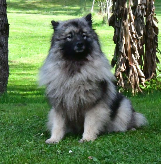 Soshline de dame nature