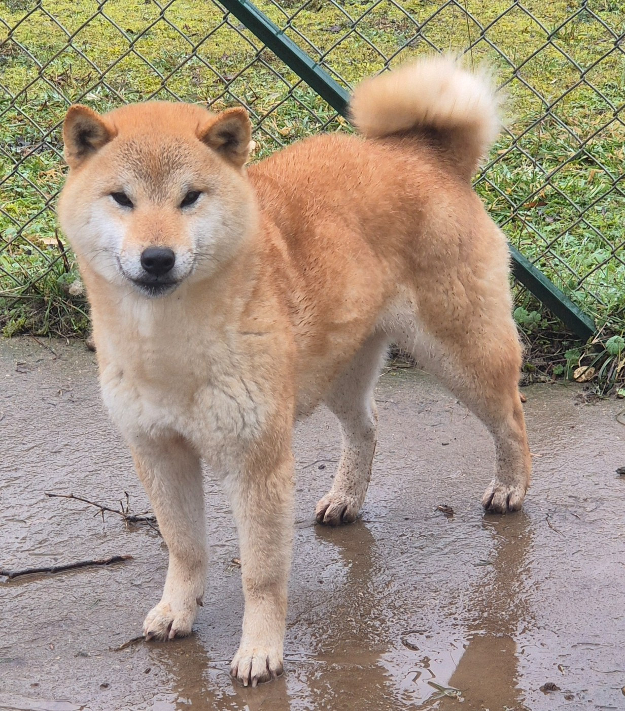 Thelma de dame nature